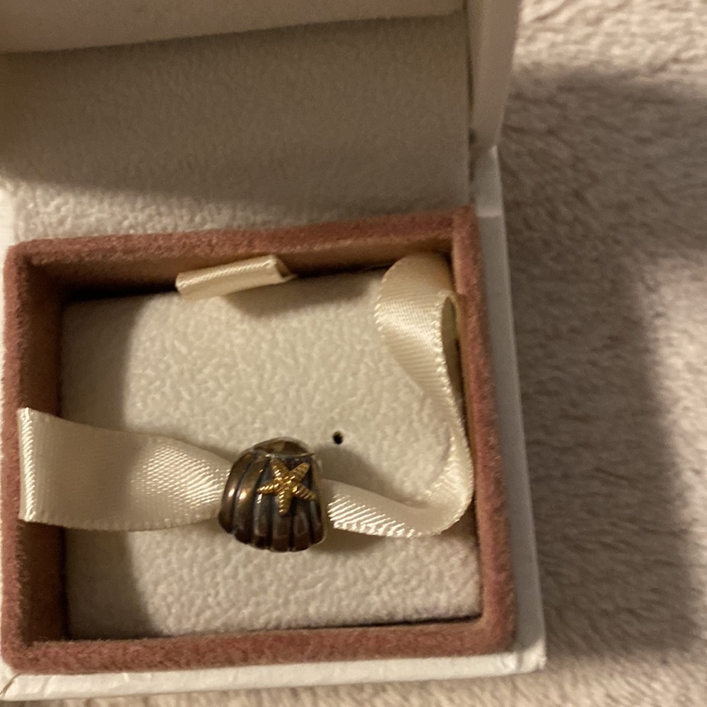 Pandora Bundle - image 4